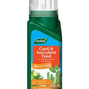 Westland Cacti & Succulent Plant Feed Concentrate